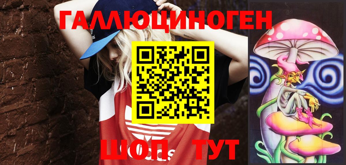 Псилоцибиновые грибы Psilocybe  Вход с VPN  Костомукша  Псилоцибиновые грибы прущие грибы 